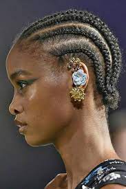 African Braids A Woven Legacy of Identity and Resistance